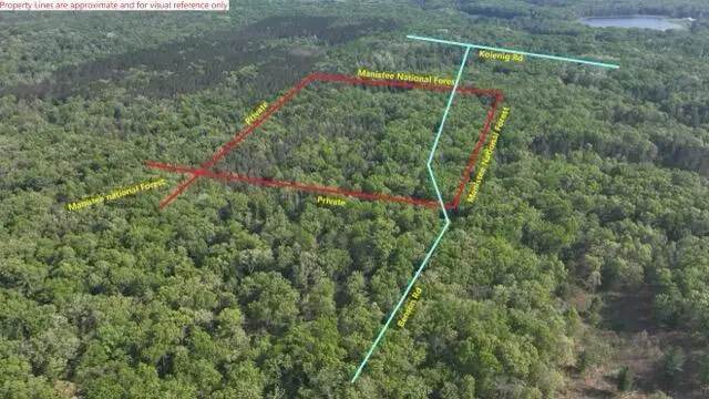 V/L Benson Rd / Frd 5259, Free Soil, MI 49411 - #2