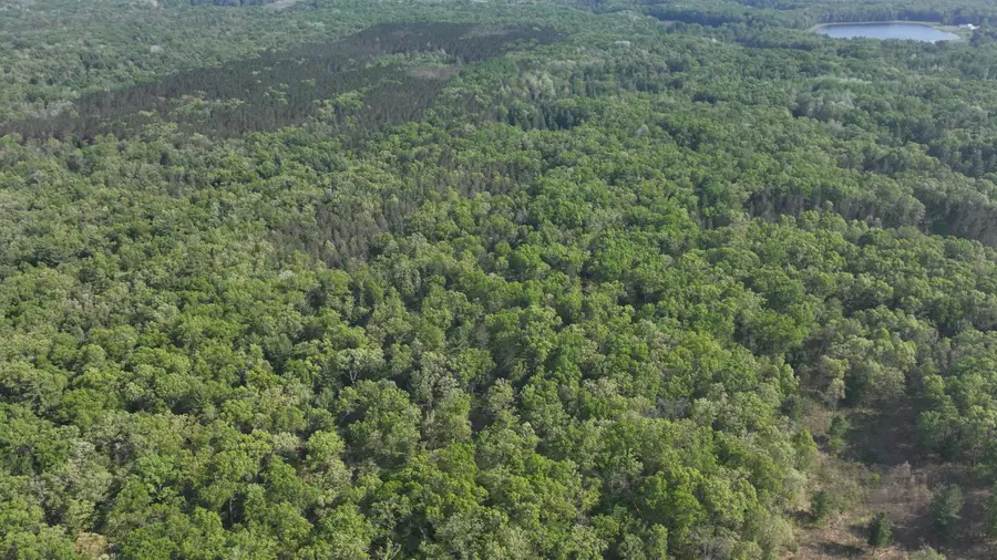 V/L Benson Rd / Frd 5259, Free Soil, MI 49411 - #3