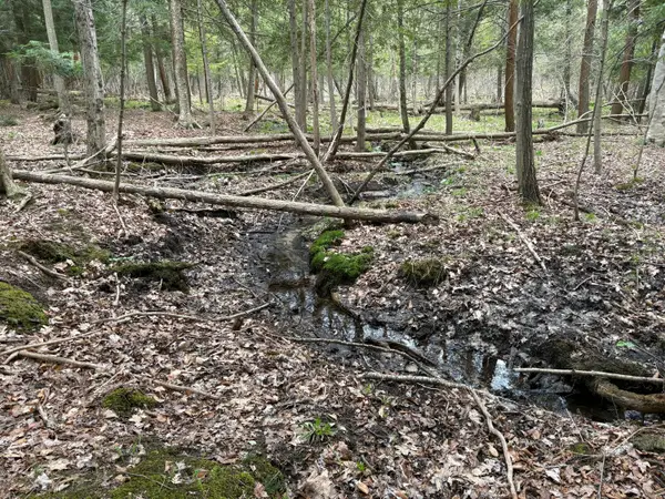 2.27 Acres W Shelby Road, Shelby, MI 49455