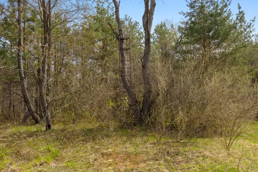 00Z0 Dzuibanek Road, Thompsonville, MI 49683 - #3