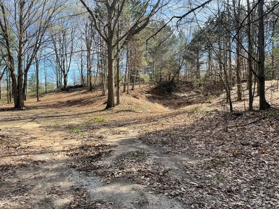 7451 W Johnson Road, Shelby, MI 49455 - #2