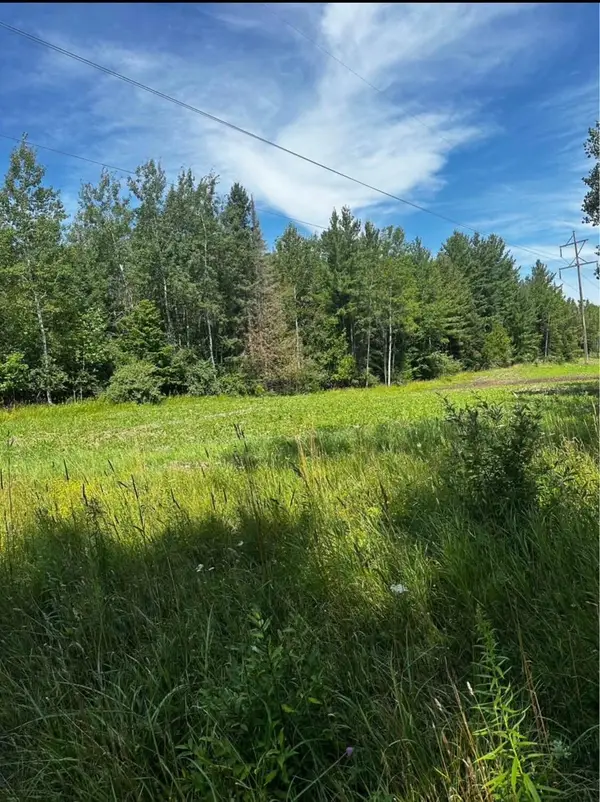 777 E Spruce Road, Spruce, MI 48762