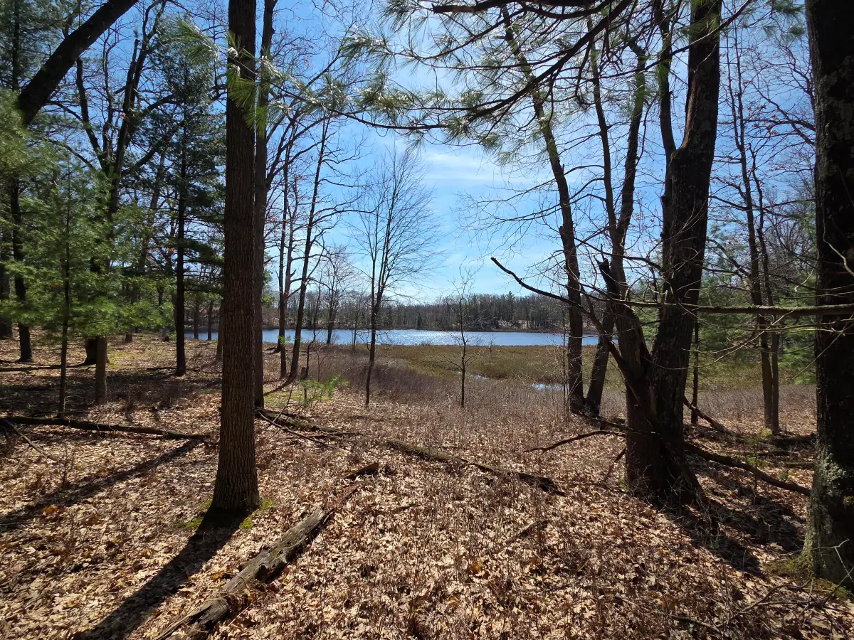 6446 N Sunshine Drive #16, Irons, MI 49644 - #1