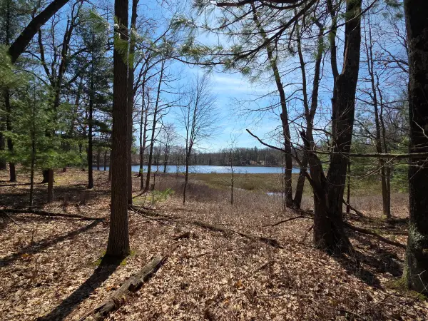 6446 N Sunshine Drive #16, Irons, MI 49644