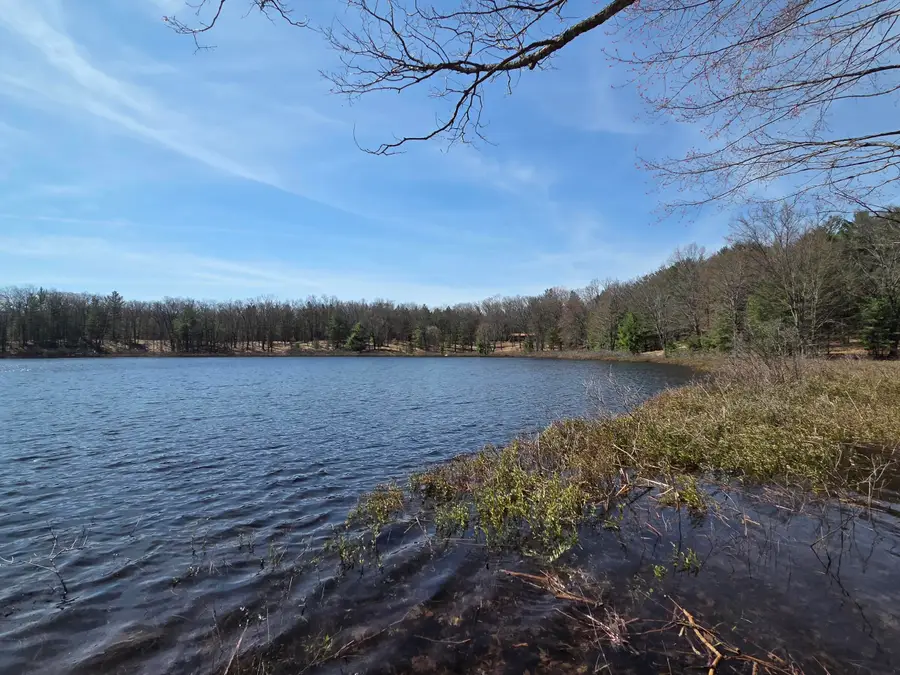 6446 N Sunshine Drive #16, Irons, MI 49644 - #2