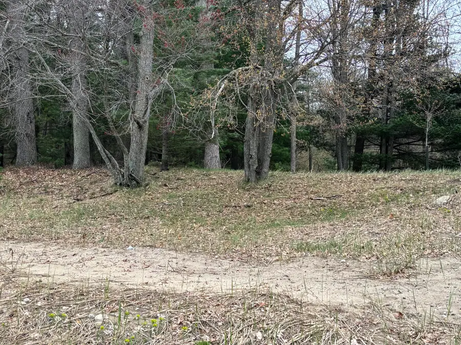 10271 S Star Lake Drive, Baldwin, MI 49304 - #3