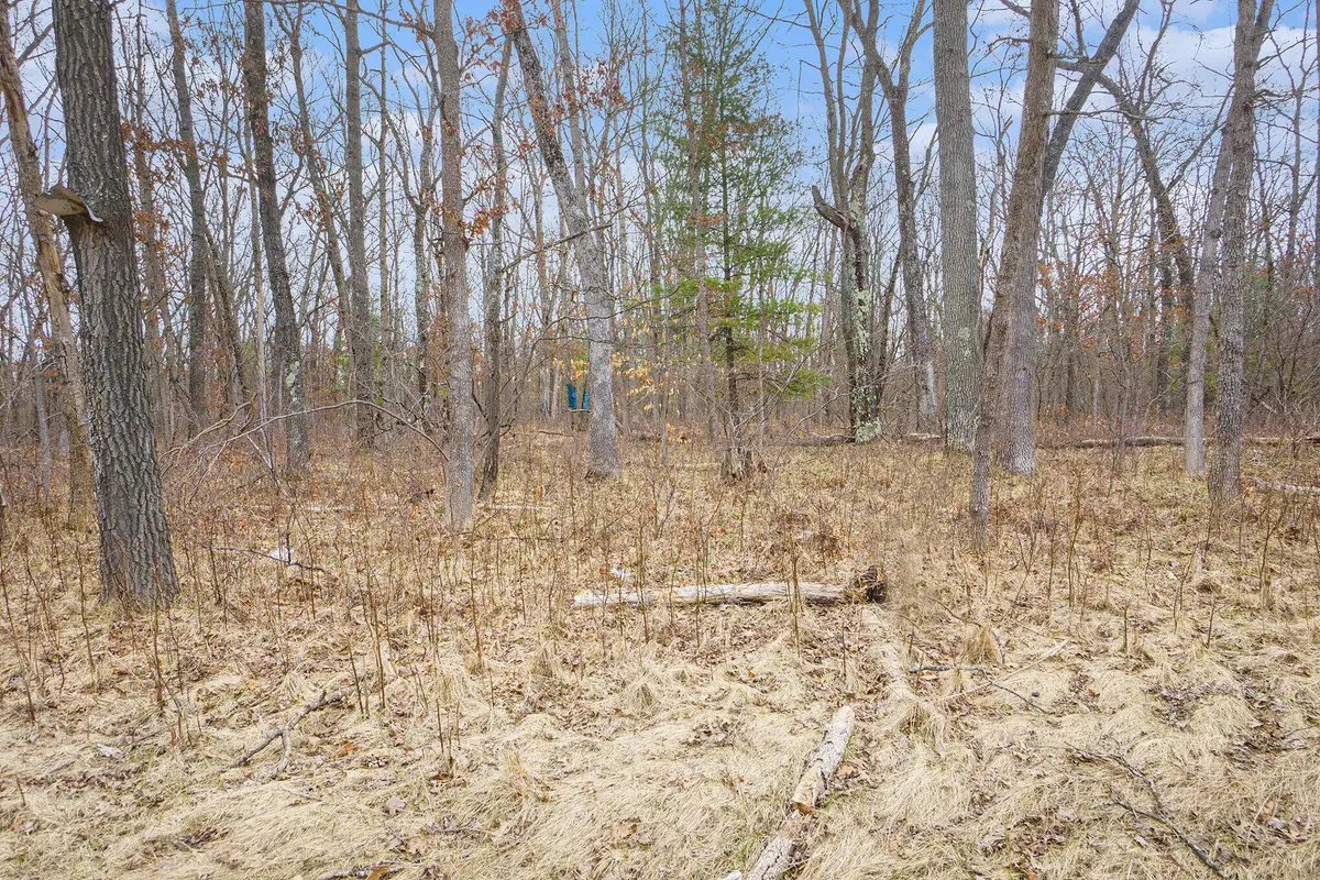 V/L N Woodbridge Road, Bitely, MI 49309 - #1