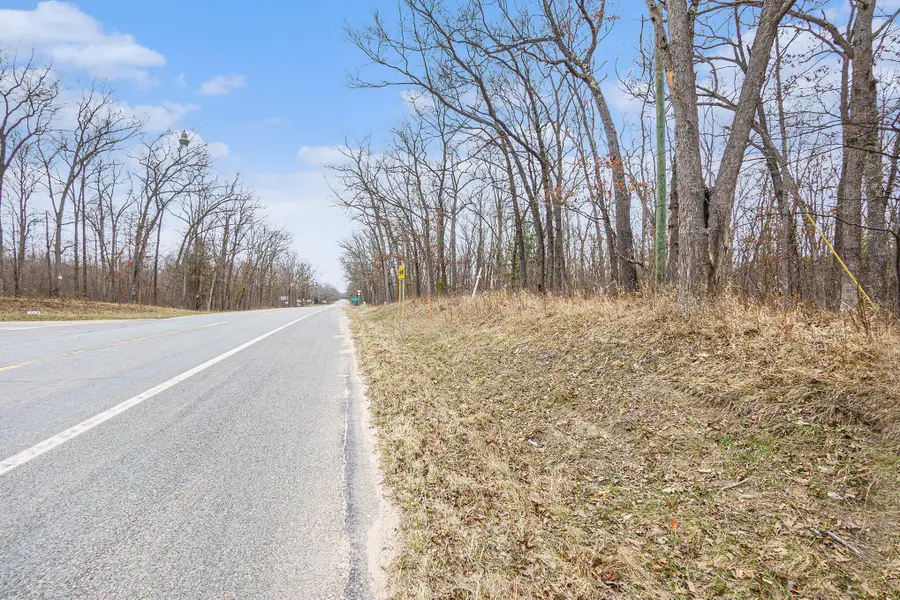V/L N Woodbridge Road, Bitely, MI 49309 - #3