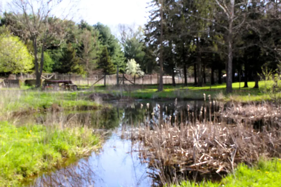 10299 Frost Road, Portland, MI 48875 - #2