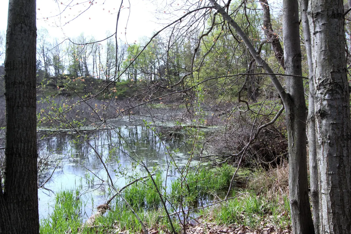 V/L Frost Road, Portland, MI 48875 - #1