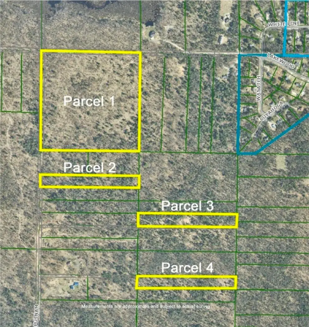 5 acres Parcel 3, Twin Lake, MI 49457 - #1
