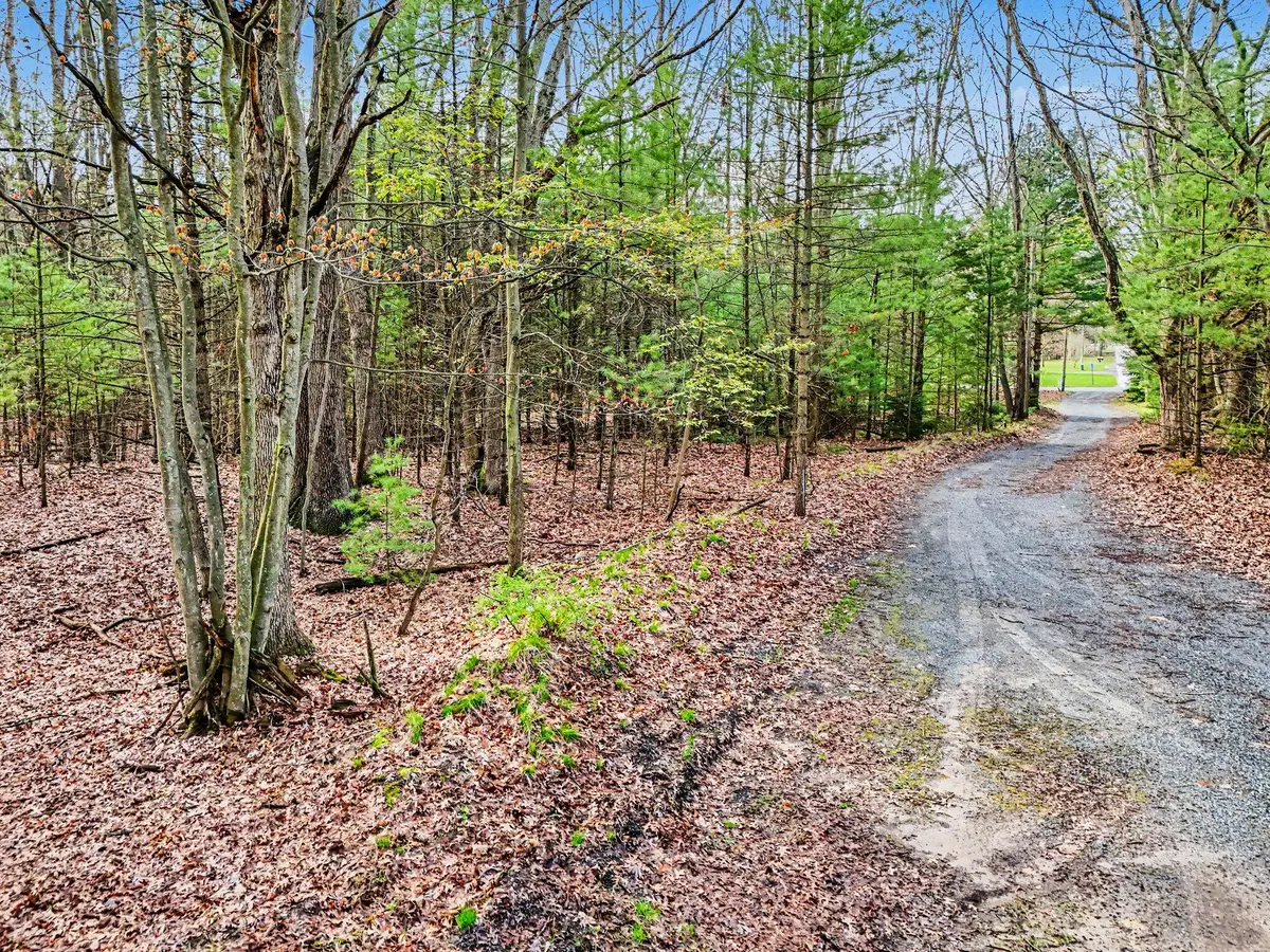 Parcel B E Sands Street, Pentwater, MI 49449 - #1