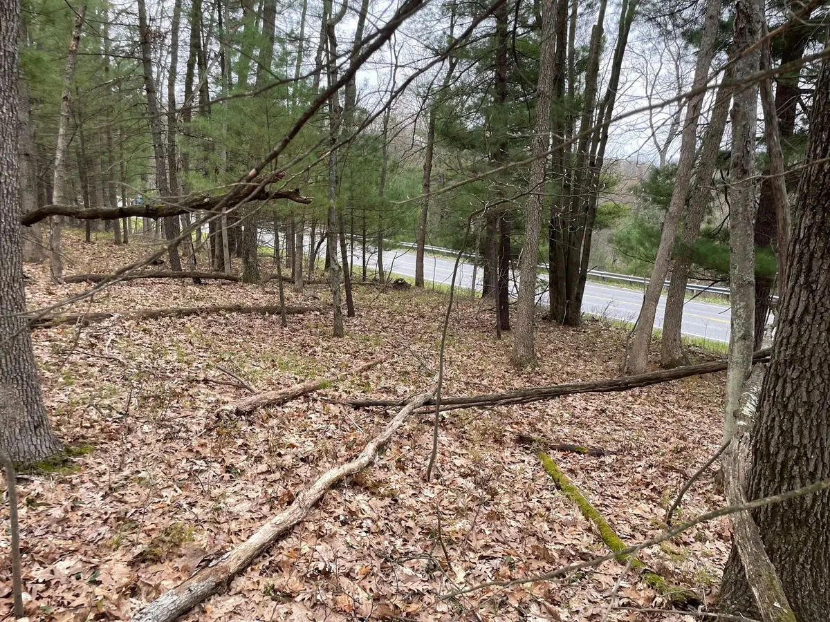 Parcel C Coates Hwy, Brethren, MI 49619 - #1
