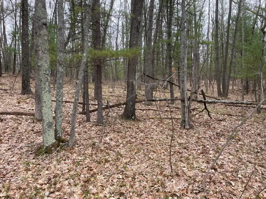 Parcel C Coates Hwy, Brethren, MI 49619 - #2