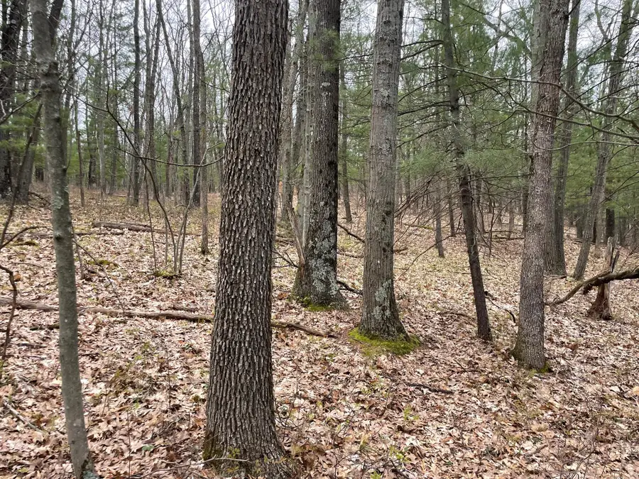 Parcel C Coates Hwy, Brethren, MI 49619 - #3