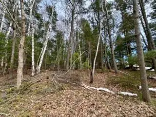 00 Lakeshore Drive, Manistee, MI 49660