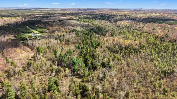 1770 N Poplar Avenue, White Cloud, MI 49349
