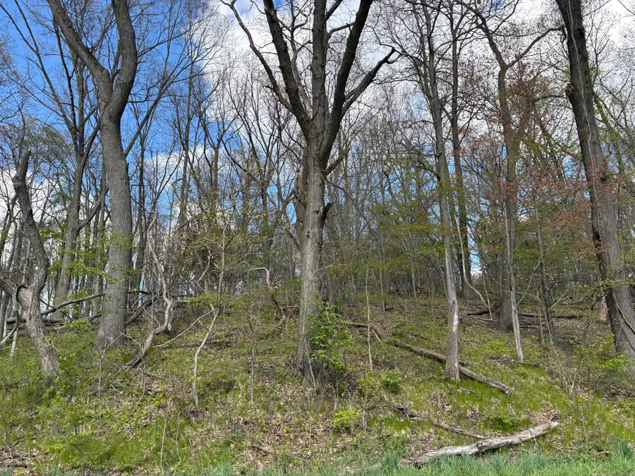 V/L Anderson Road, Cassopolis, MI 49031 - #2