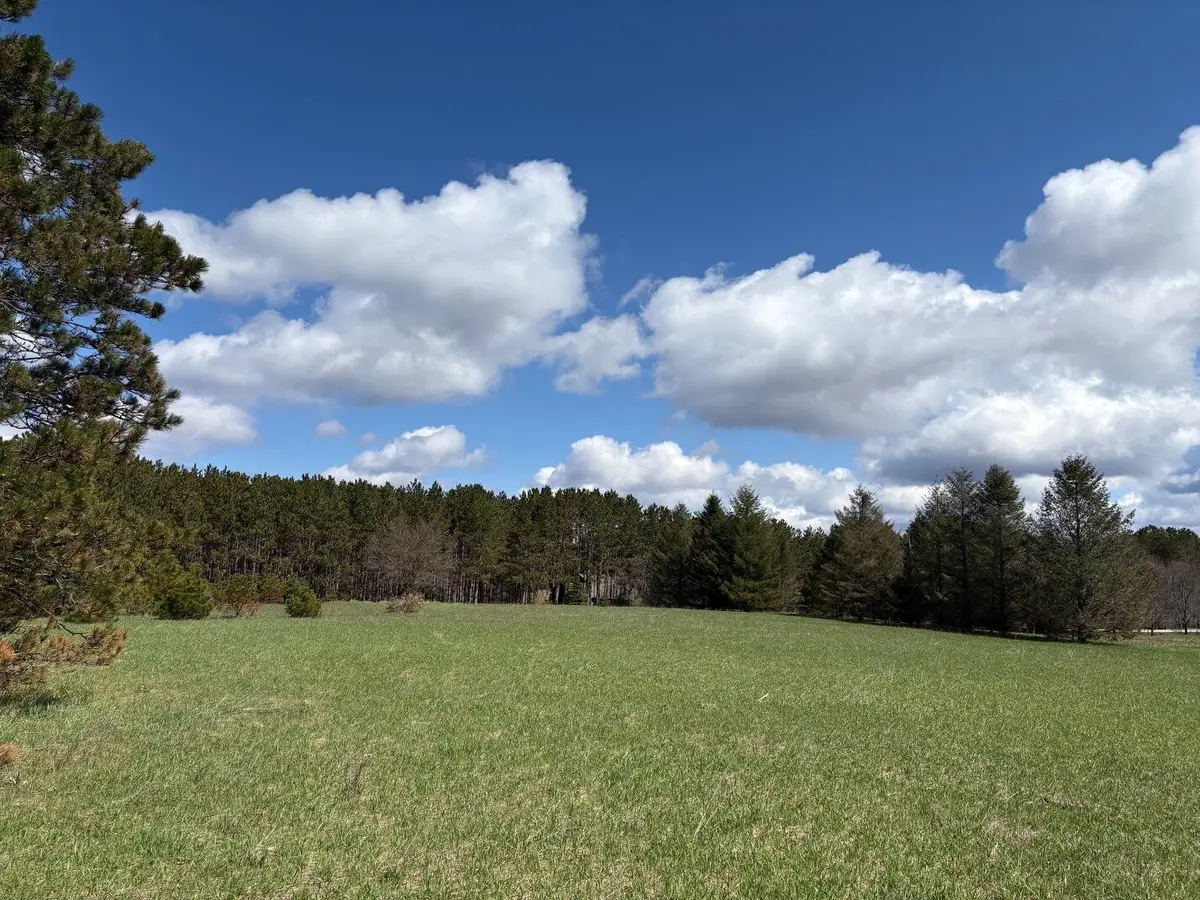 V/L Spruce Ridge Road #13, Bear Lake, MI 49614 - #1