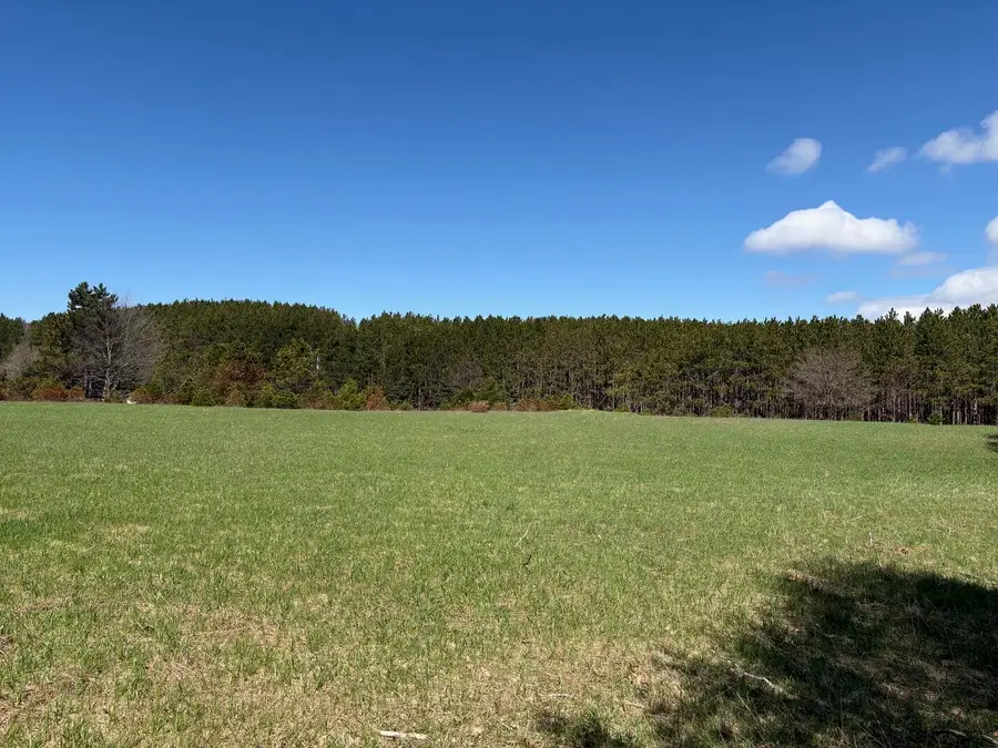 V/L Spruce Ridge Road #13, Bear Lake, MI 49614 - #2