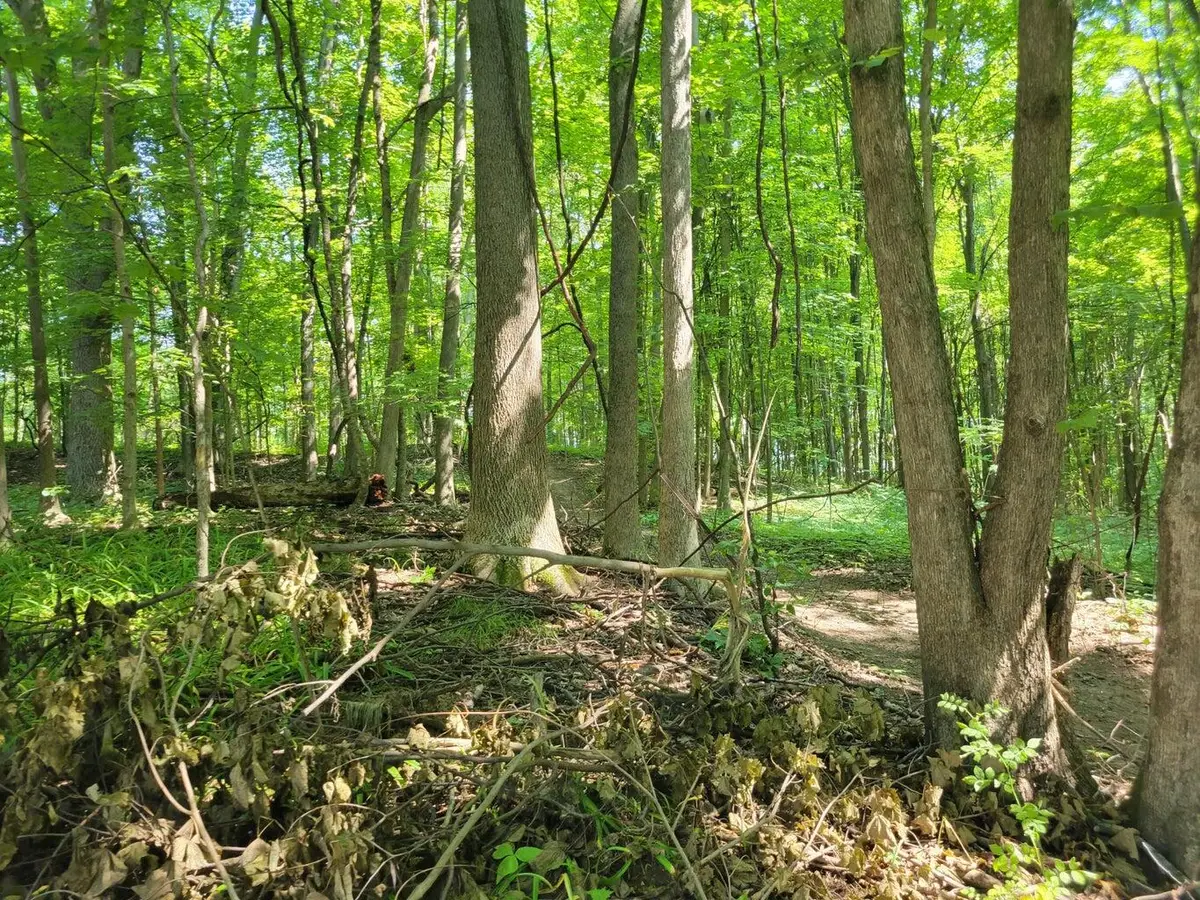 V/L Peterson Drive, Gobles, MI 49055 - #1
