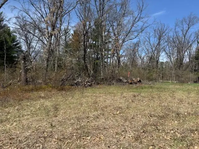 VL S James Road, Baldwin, MI 49304 - #1