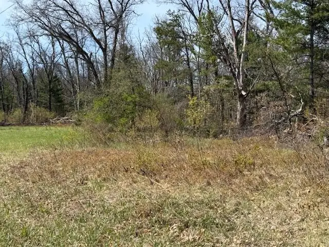 VL S James Road, Baldwin, MI 49304 - #2