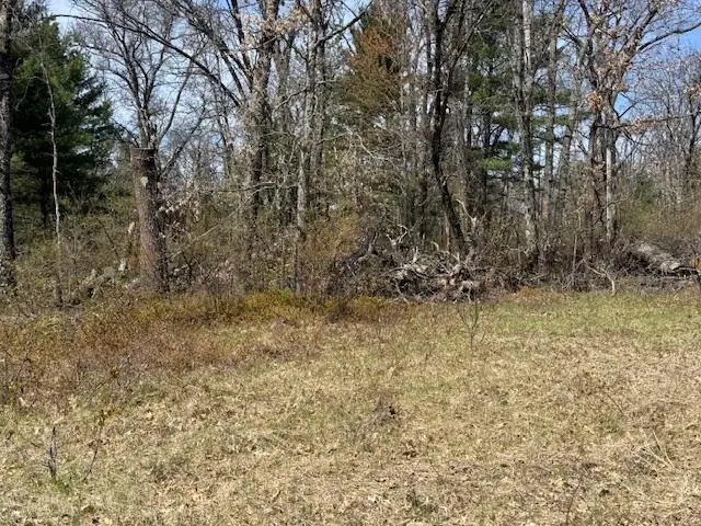 VL S James Road, Baldwin, MI 49304 - #3
