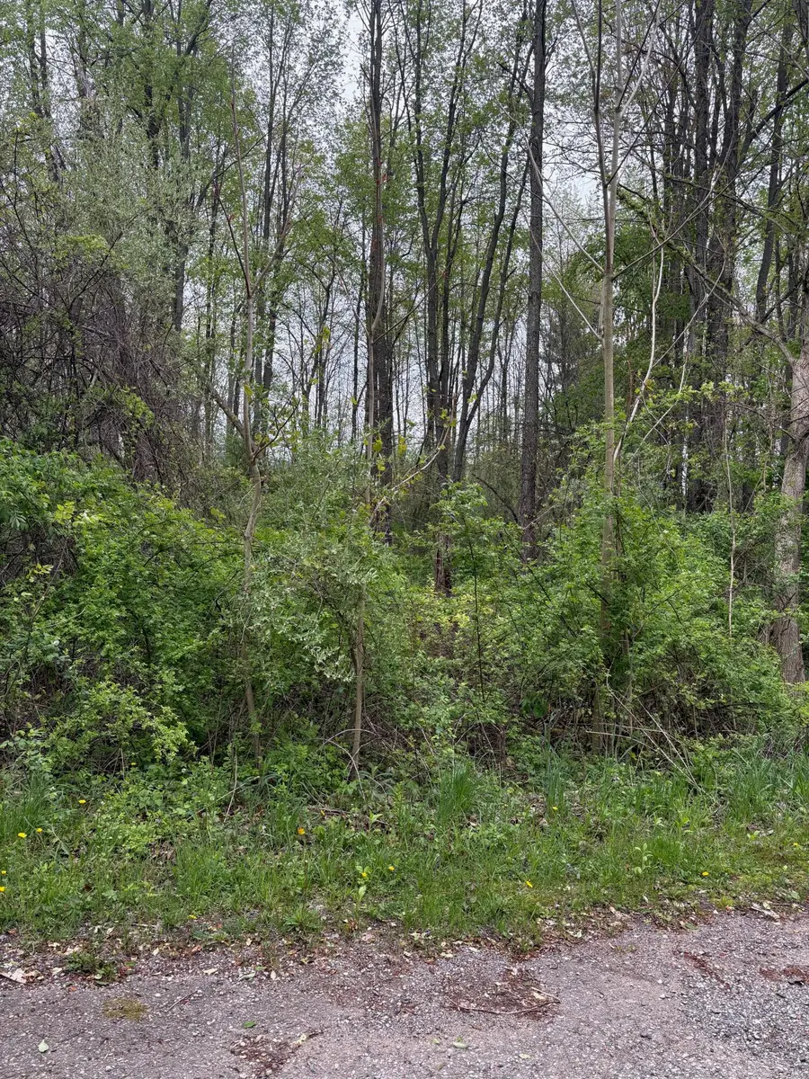 V/L W Quimby Road, Hastings, MI 49058 - #2