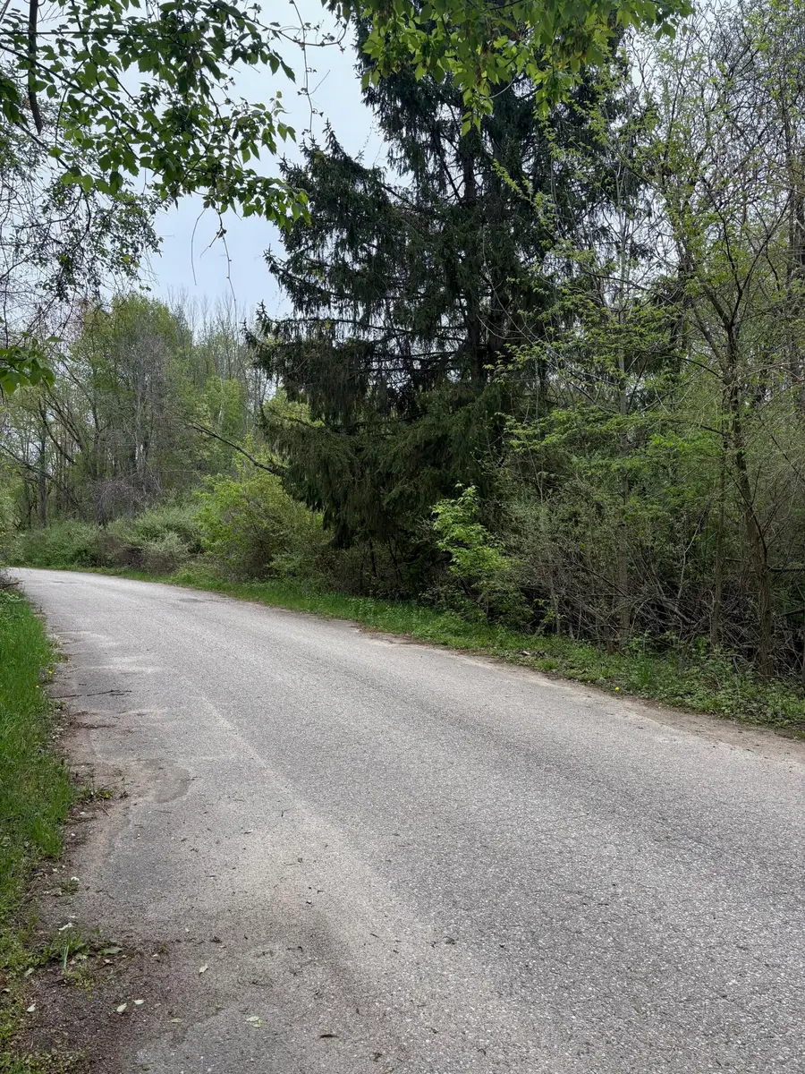 V/L W Quimby Road, Hastings, MI 49058 - #3