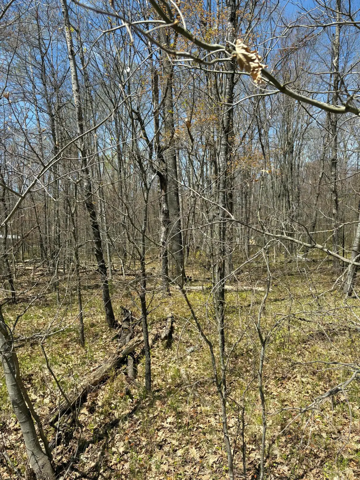 V/L Shadowbrook Drive, Lake, MI 48632 - #1