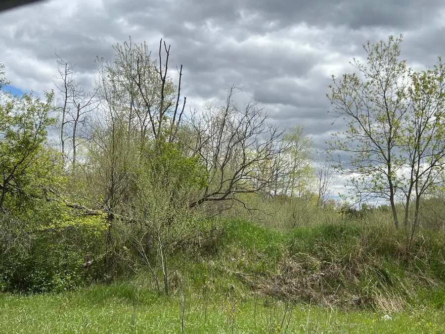 11148 N Satterlee Road, Lakeview, MI 48850 - #2