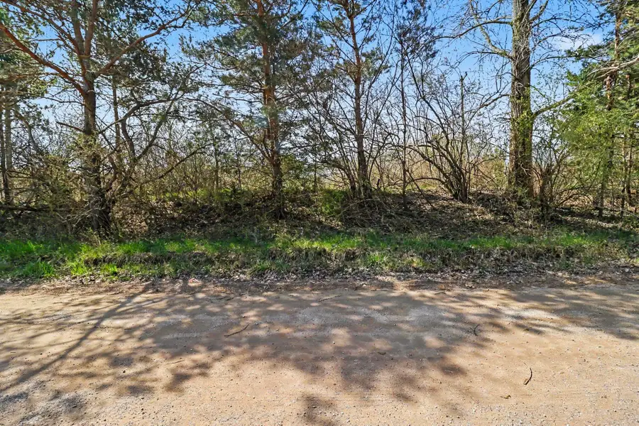 23A Sass Road, Manistee, MI 49660 - #3