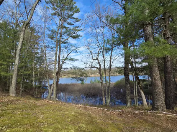 4735 N Alice Lake Drive, Irons, MI 49644