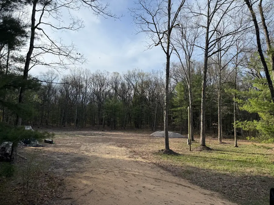 9100 S Lovers Lane, Newaygo, MI 49337 - #3
