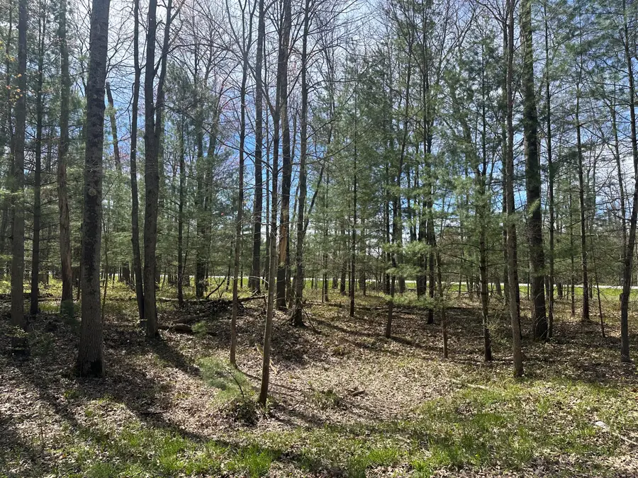 00 S Shepperd Road, Branch, MI 49402 - #2