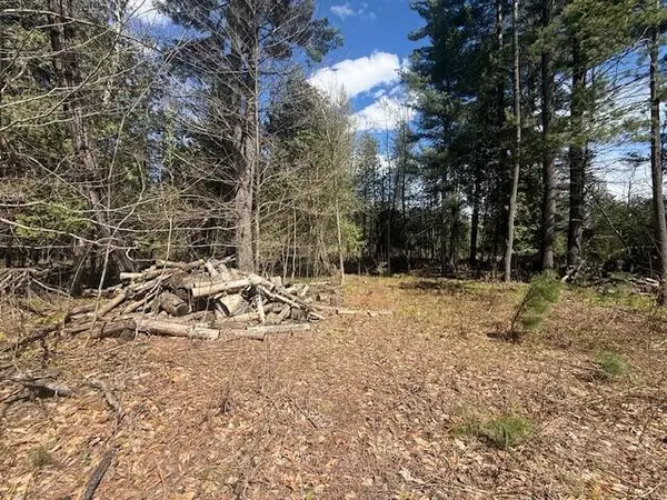 735 N Lakola Road, Leroy, MI 49655