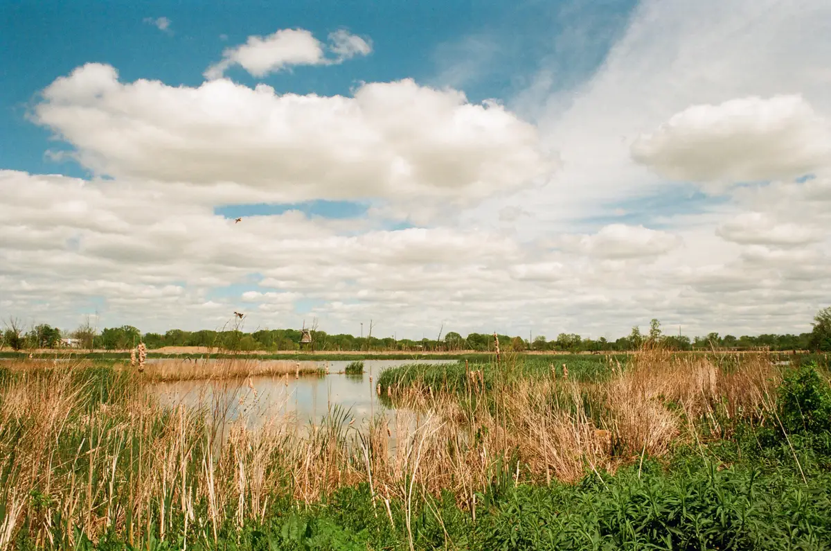 River Hills Drive, Holland, MI 49423 - #1