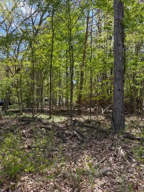 11513 Hillary Drive, Jerome, MI 49249