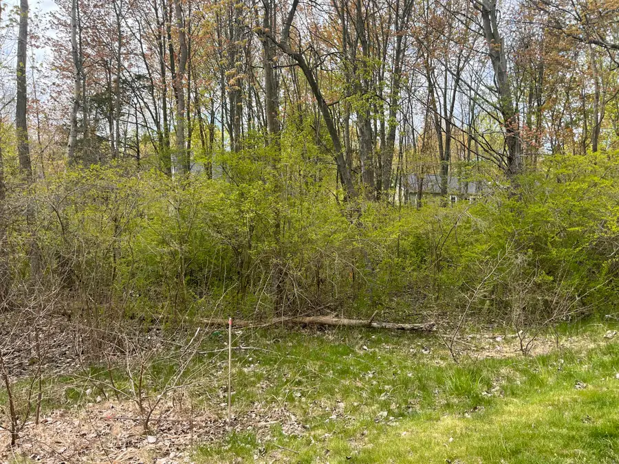 V/L15 & 16 Lakeview Avenue, South Haven, MI 49090 - #2