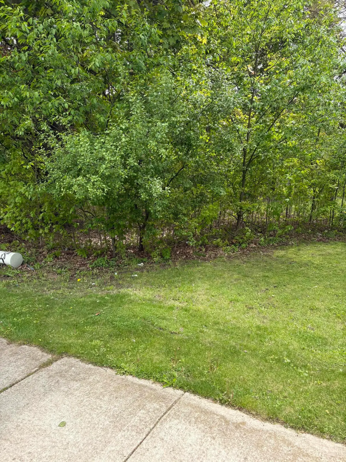 W Territorial Road, Battle Creek, MI 49015 - #1
