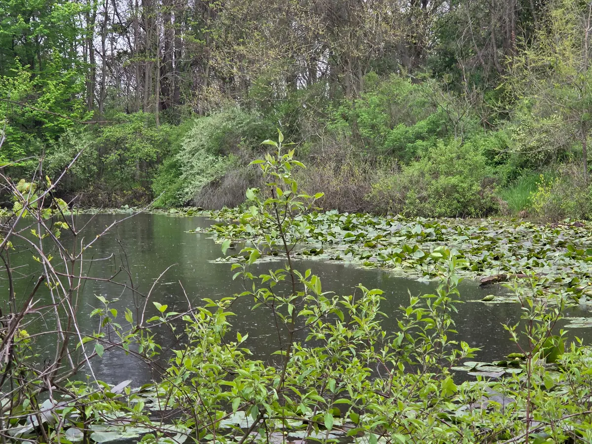 V/L M-40 Highway, Paw Paw, MI 49079 - #1