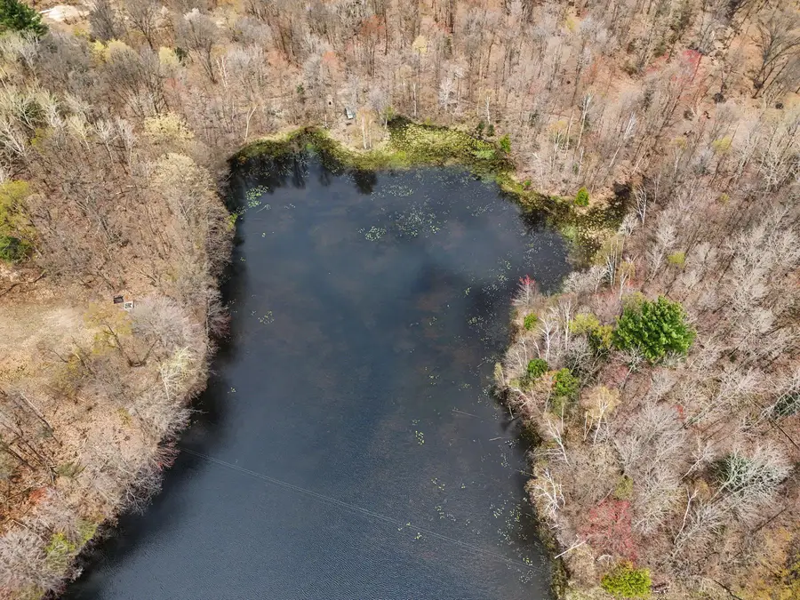 24 Acres 56th Ave, Mears, MI 49436 - #2