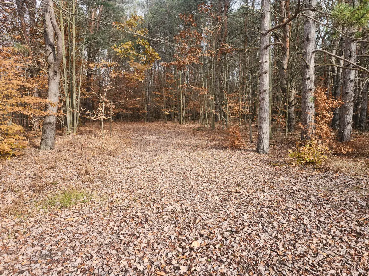 VL 5 acres 9 Mile Road, Kaleva, MI 49645 - #1