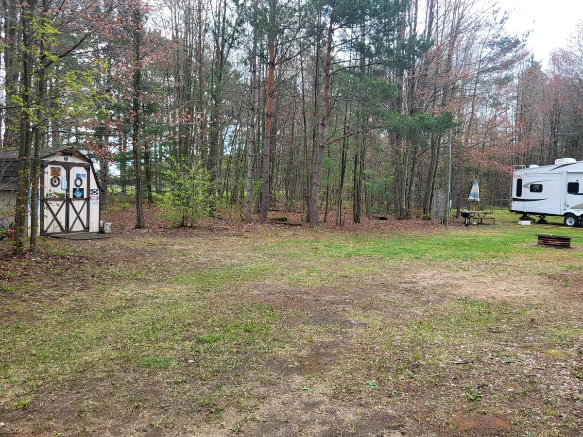 9479 Glovers Lake Road, Bear Lake, MI 49614 - #1