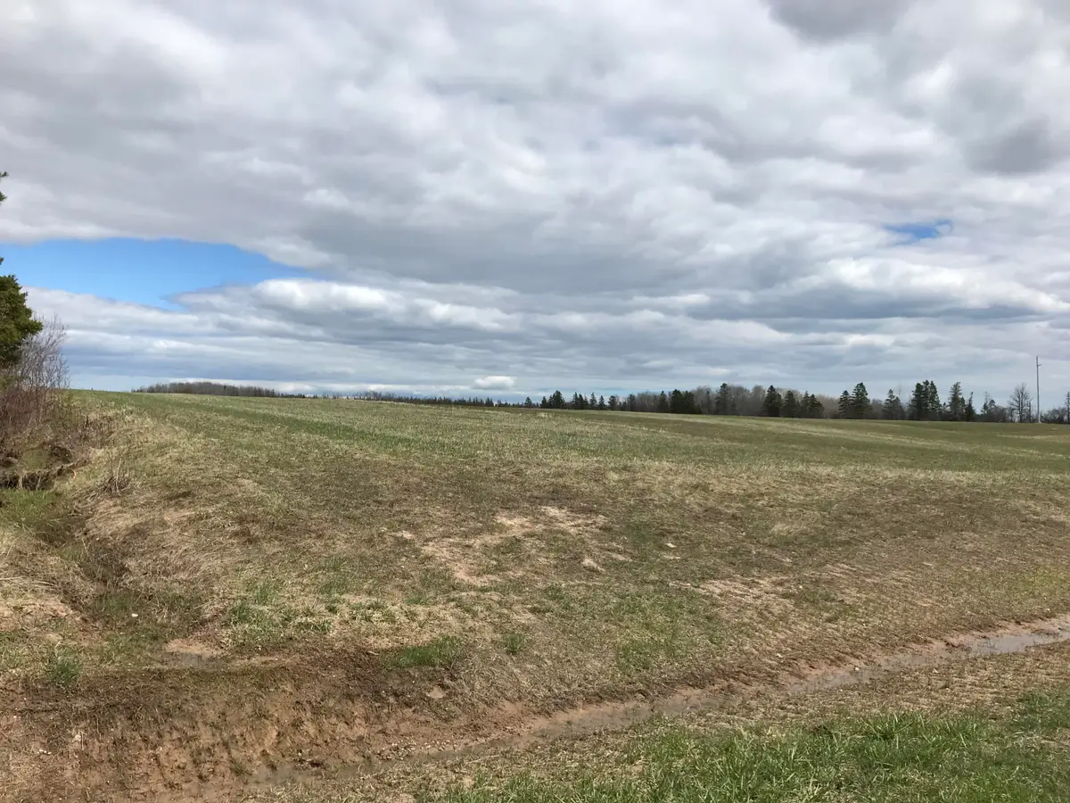 000 S Clegg Road, Pickford, MI 49774 - #1
