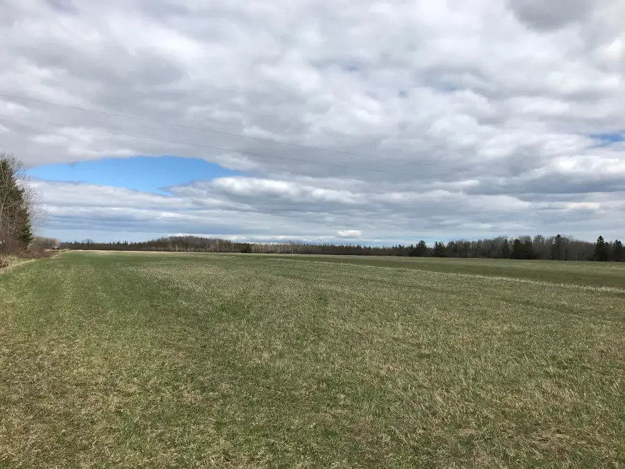 000 S Clegg Road, Pickford, MI 49774 - #2