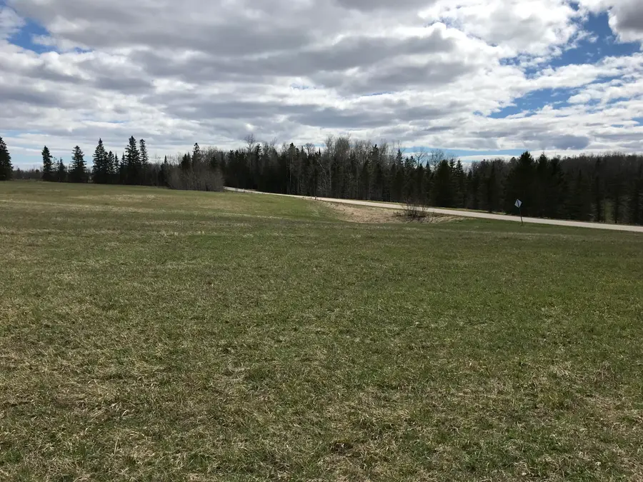 000 S Clegg Road, Pickford, MI 49774 - #3
