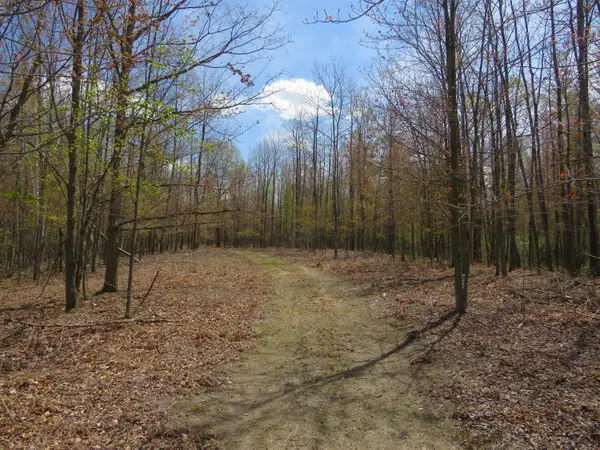 N Chippewa Road, Mount Pleasant, MI 48858