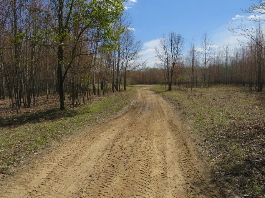 N Chippewa Road, Mount Pleasant, MI 48858 - #2